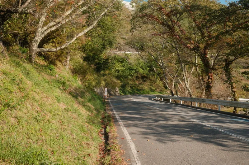 Two Wheels, Craft Pours, and Open Roads: Your Ultimate Tsuchiura Brewery Bike Route Guide