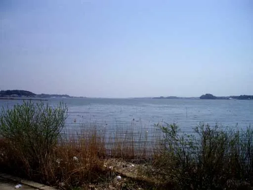 Get Out on the Water: Everything You Can Actually Do on Lake Kasumigaura