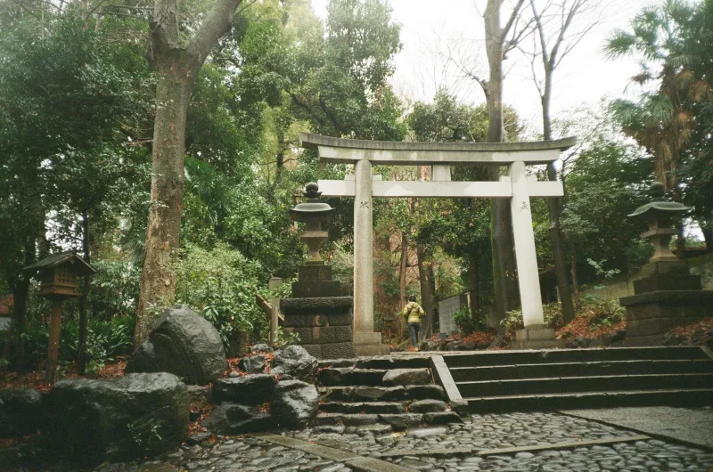 No Filter Needed: The Quiet Temples and Shrines of Tsuchiura That Actually Move You